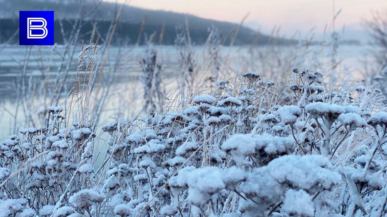 Ночью 8 декабря в Мурманской области ожидается сильный мороз